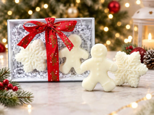 The Festive Collection - Large Wax Melt Duo